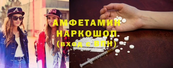 прущие грибы Алзамай