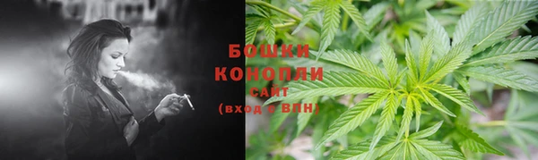 ешки Алексин