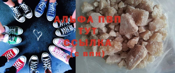 прущие грибы Алзамай